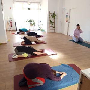 pilates clinico pilates clinico